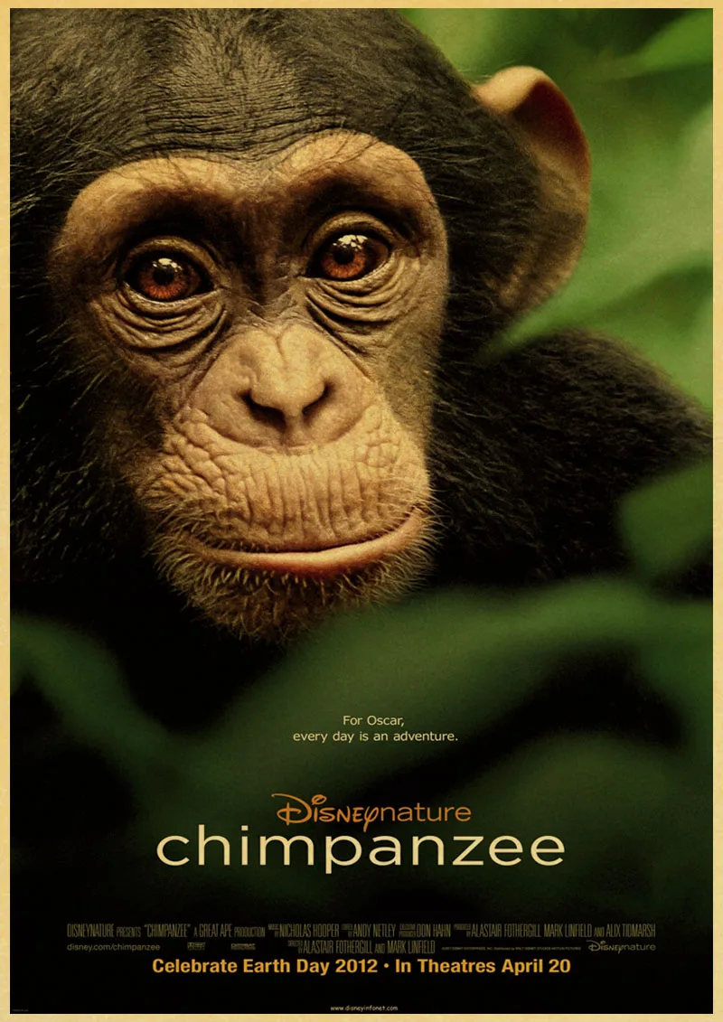 Винтаж Забавный плакат с шимпанзе Ретро плакат живопись Домашний декор комнаты крафт наклейки на стену - Цвет: P029
