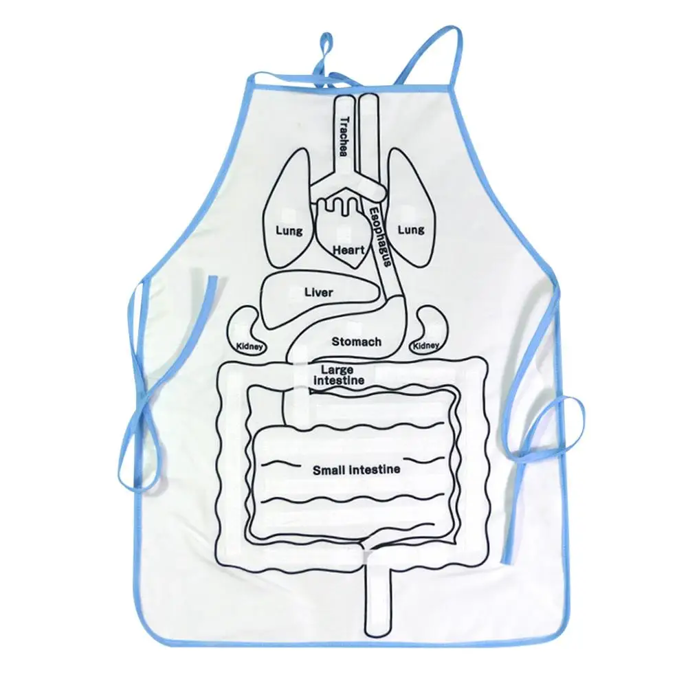  Educational Insights Toys For Children Anatomy Apron Human Body Organs Awareness Preschool Science  - 33042240318