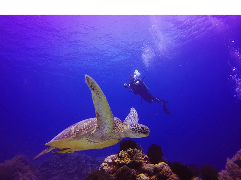 YC10235-gopro5_07