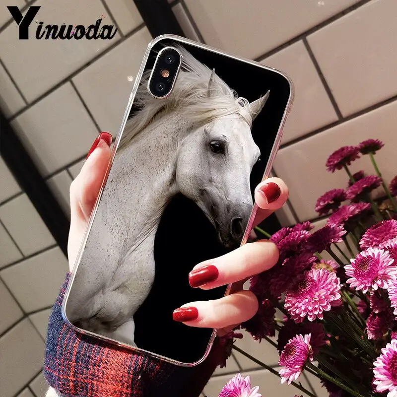 The Great beauty horse