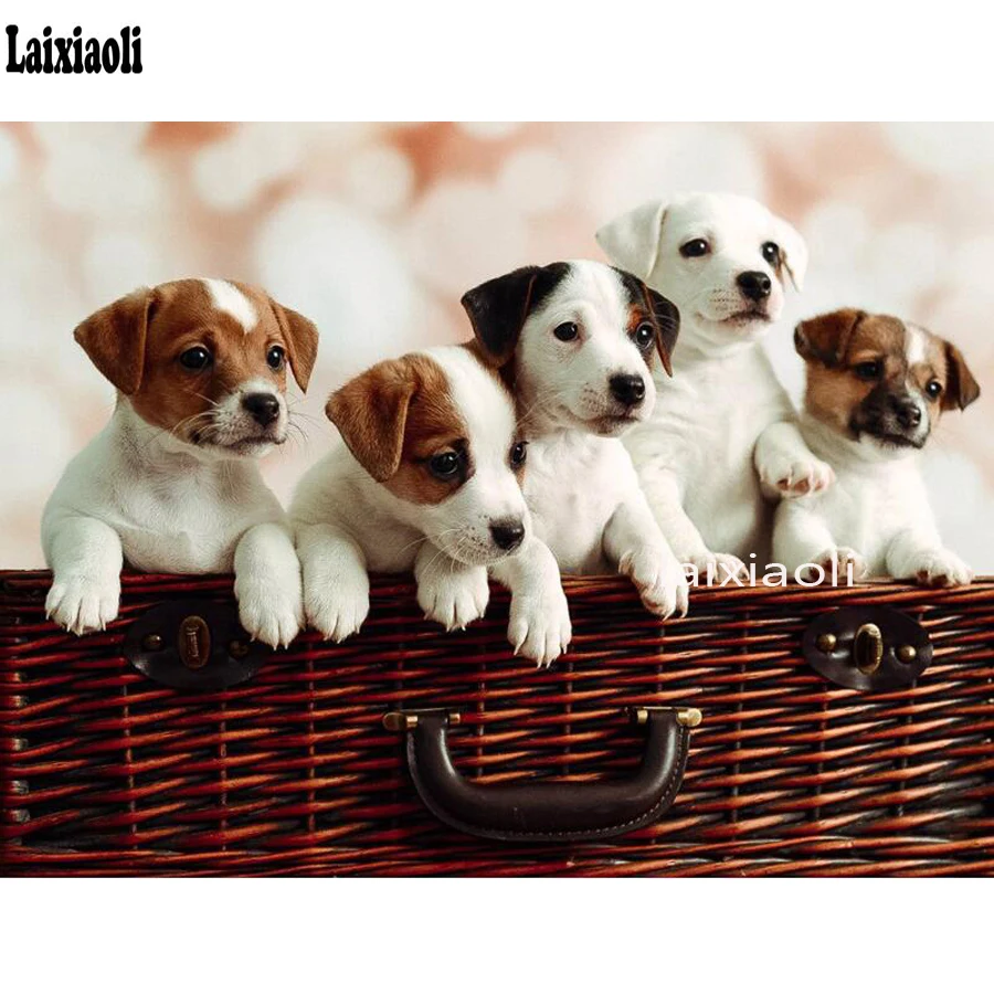 

diamond painting cute dog diamond mosaic jack russel puppies Full square round Cross Stitch,3D rhinestones painting,drill Mosaic