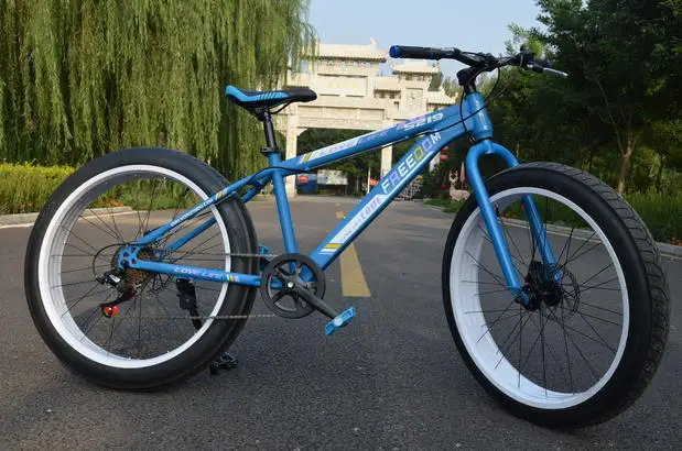 fatboy bicycle