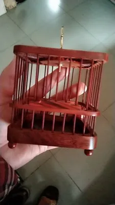 Material p insetos