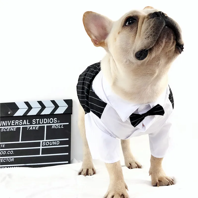 [MPK Dog Costume] Свадебный костюм для жениха с галстуком-бабочкой, официальная рубашка для собаки, умный наряд для собак