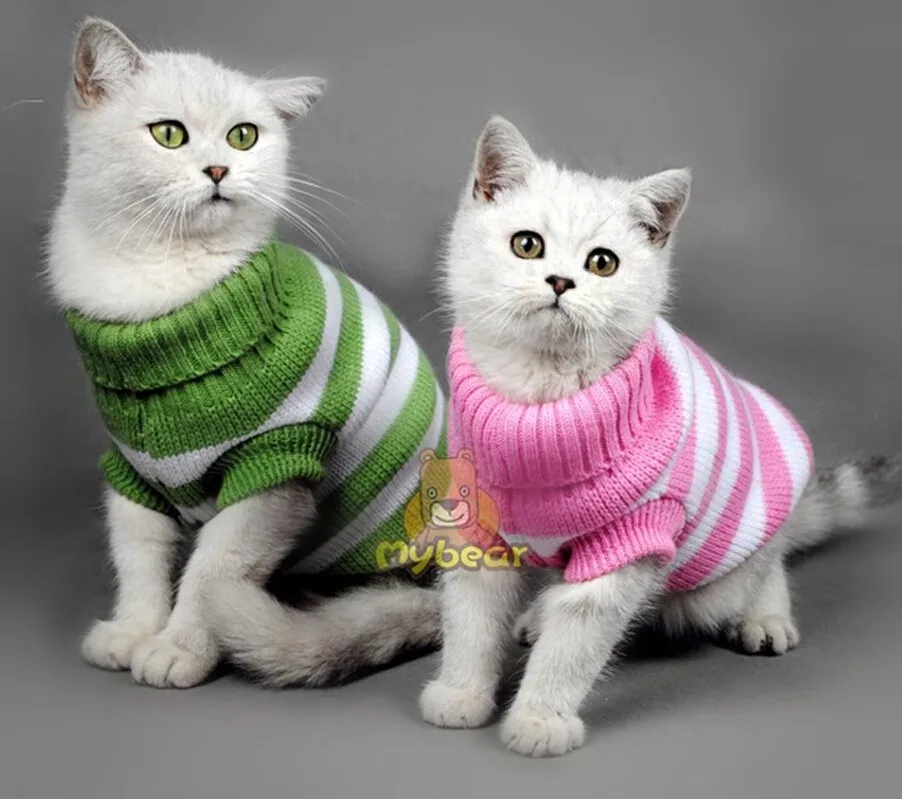 cat spring Search cat spring real estate property listings to find homes for sale in cat spring, tx browse houses for sale in cat spring today. cat spring Search cat spring real estate property listings to find homes for sale in cat spring, tx browse houses for sale in cat spring today.