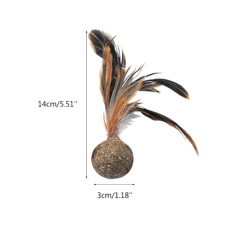 Pet Catnip Toys Soft Feather Cat Toy Ball Treats Interactive Kitten Toys