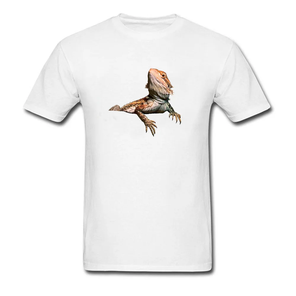 Bearded-Dragon-PNG-Transparent-Image_white