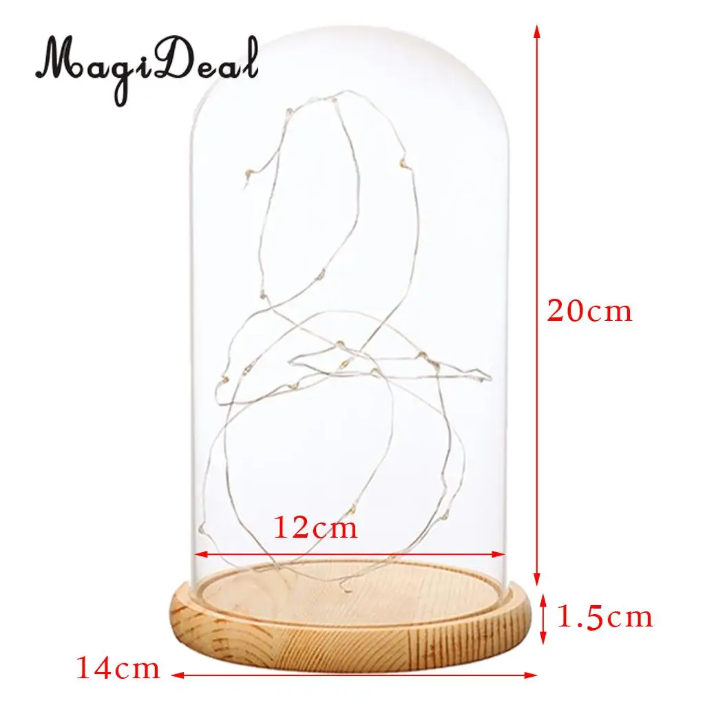 Glass Display Dome Cloche With Suspended LED Lights Tabletop Lamp Wedding Holiday Decor Crafts