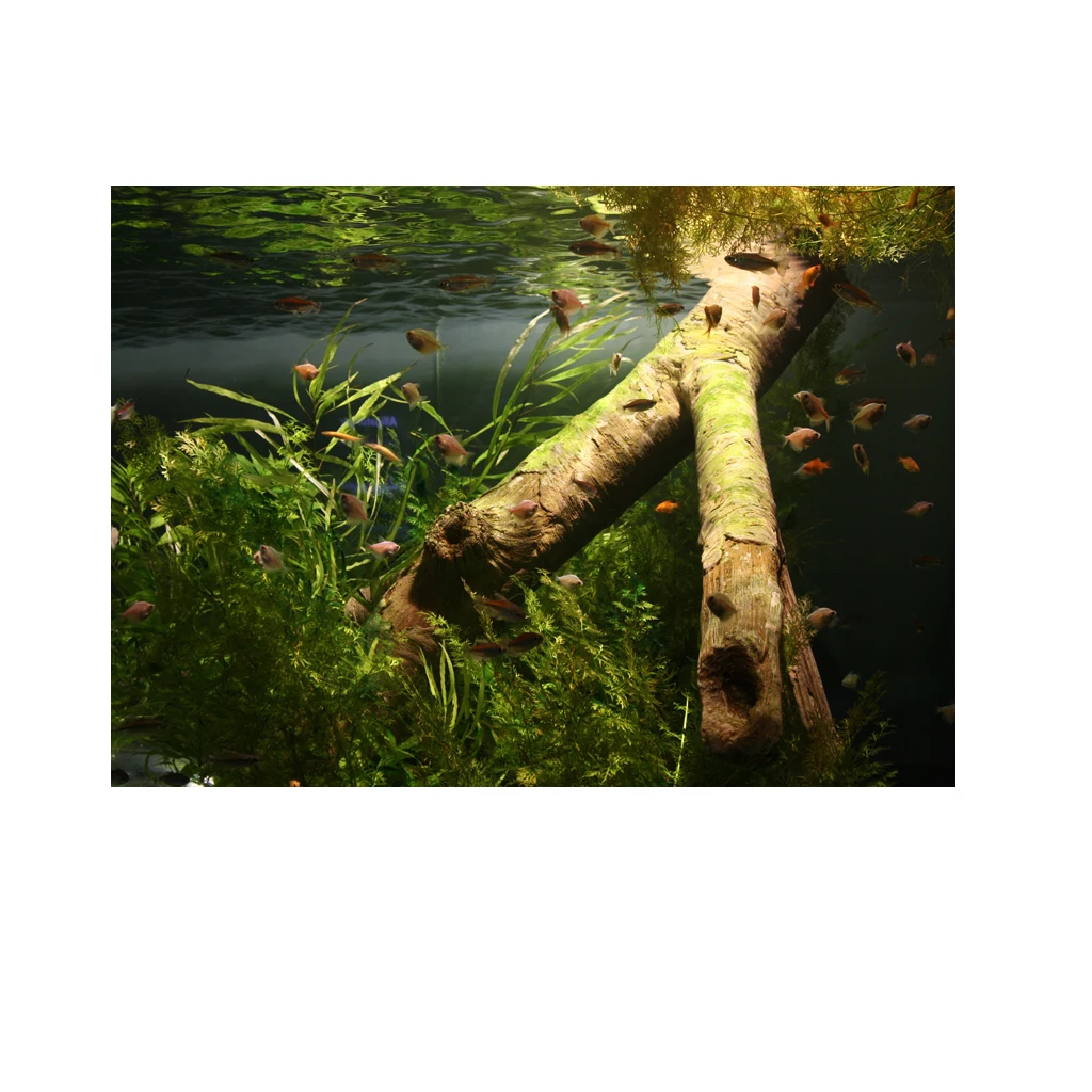

61cm width 3D Aquarium Background Backdrop Fish Tank Board Decor Underwater Aquarium Landscape Decoration Drop shipping MA15