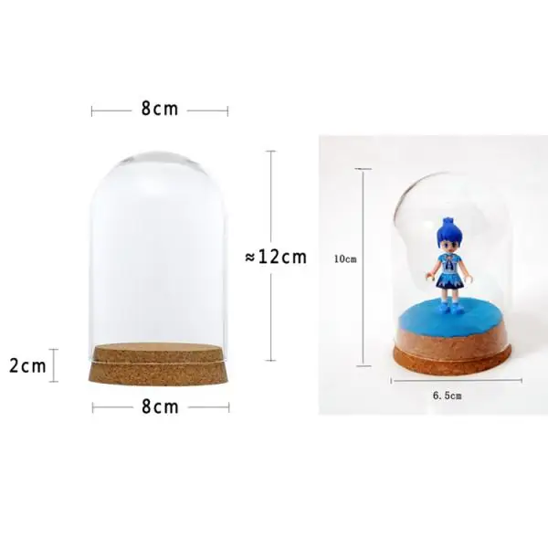 Clear Glass Dome Cover Cloche Bell Jar Succulent Terrariums with Wood Cork for Office Table Decor DIY Supplies - 8x12/ 6.5x10cm 