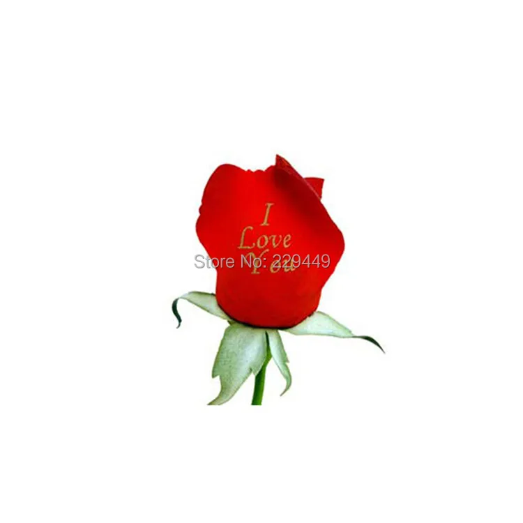 Flower water decal paper 03.jpg