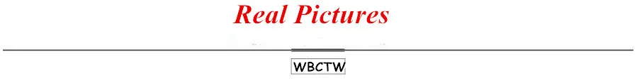 Real Picture