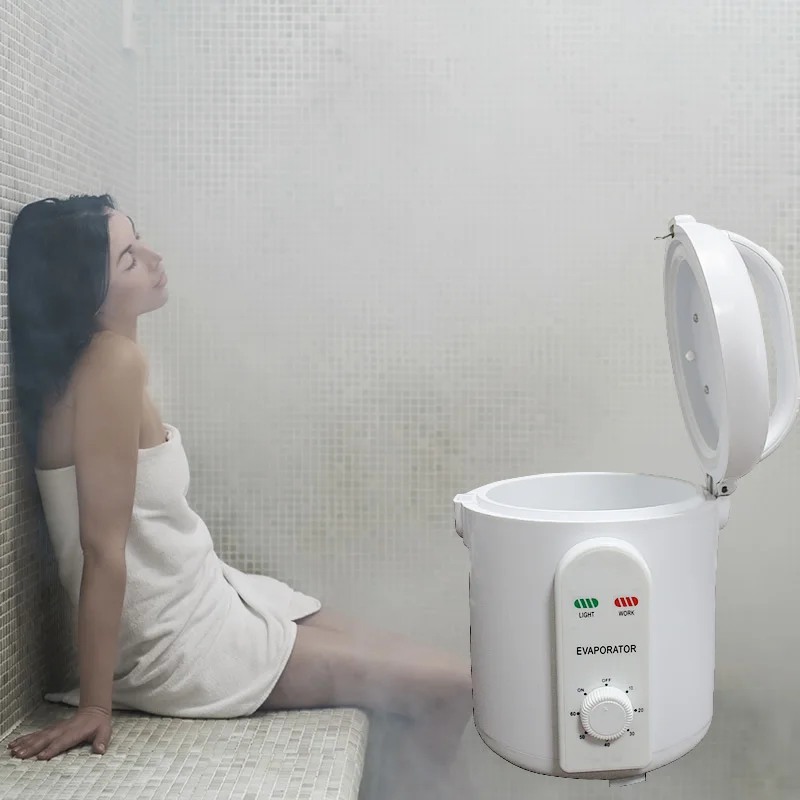  Sauna Steam Bath Machine Portable Sauna Steam Generator infrared sauna oxygen ionizer Free shipping