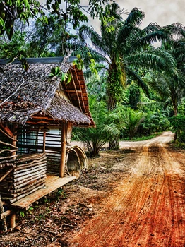 

Art Fabric Photography Backdrop Old Wooden Abandoned House Jungle Backdrop Custom Photo Prop backgrounds 10ft X 10ft D-1019