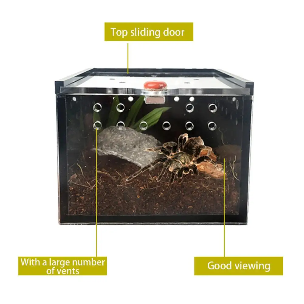 Черная акриловая клетка для питомца, кормушка для паука, ящерицы, лягушки, крикет, черепахи, питомцы, разведение, хранитель рептилий, дом
