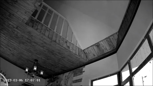cat ip camera 20