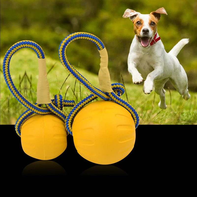 الكلب لعب الكرة مع حبل تحلق أقراص مضغ لعبة الكرة إيفا الحيوانات الأليفة لعبة للكلاب التفاعلية الكرة ل صغيرة كبيرة الكلاب القطط مستلزمات الحي...