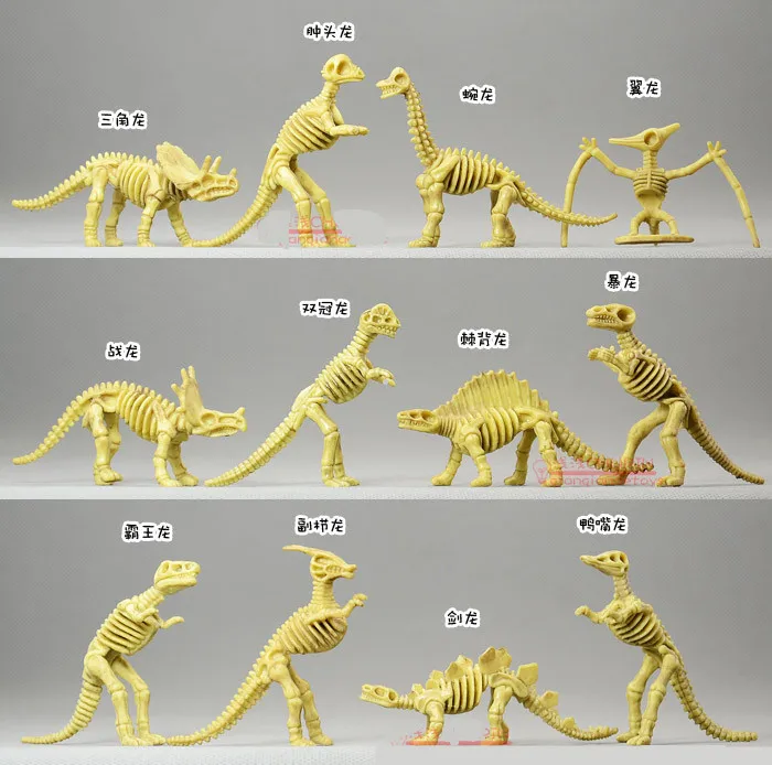 plastic dinosaur skeletons