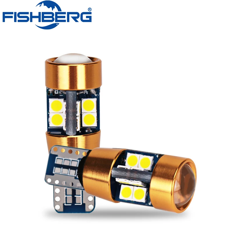 FISHBERG 2 шт. T10 W5W 194 168 Canbus SMD3030 19LED автомобильная лампа для автомобиля купольная
