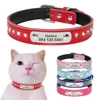 Collier pour chat en cuir personnalisé | Pour chiot, petits chiens, nom de chat, gravure gratuite, réglable ► Photo 1/6