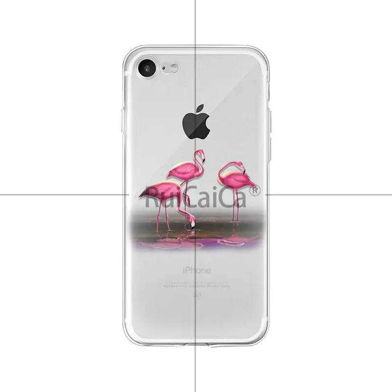 Flamingo Pineapple Flower Green leaf