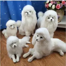 WYZHY моделирование аксессуары для собак Пудель модель реквизит меховые ремесла мульти-стиль украшения 40 см x 15 см x 21 см