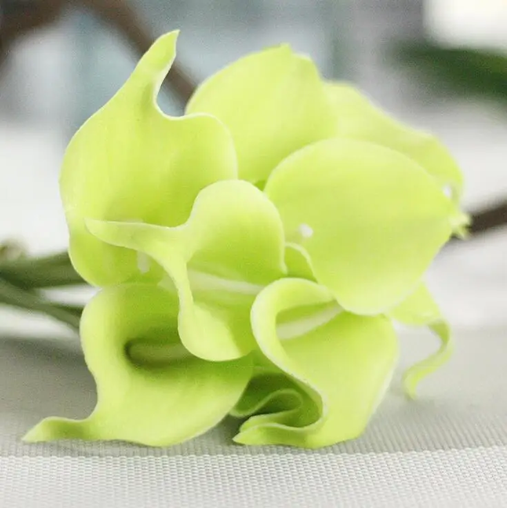 lightgreen