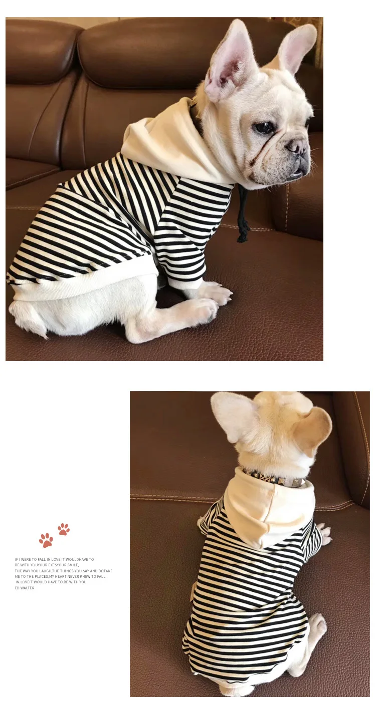 Dog Clothes Spring  (3)