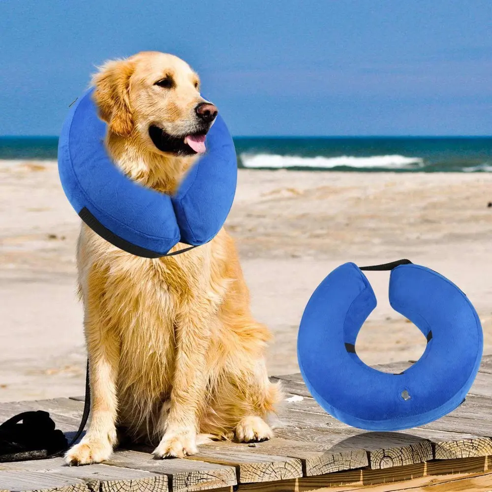 Pet Recovery E-Collar  (9)
