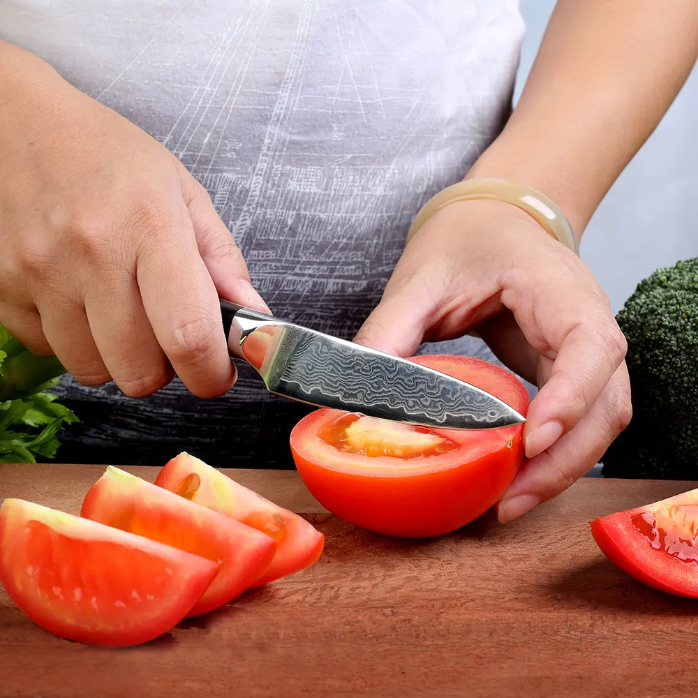 Sunnecko 5 шт. Набор ножей японский VG10 лезвие шеф-повара слайсер хлеб утилита для очистки овощей Дамасская сталь кухонные ножи повара подарок G10 Ручка