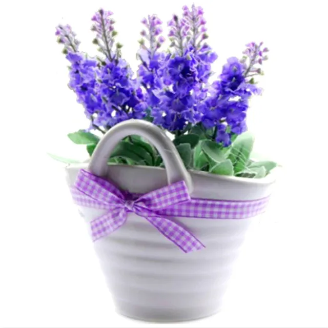Hot Sale 100 Japanese Lavender Seeds Very Fragrant Flower
