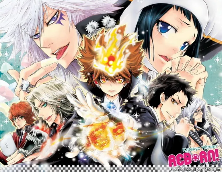 

Katekyo Hitman Reborn Anime Characters 45*35CM Pillow Case #29859