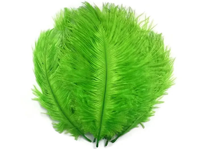 10 green ostrich feathers 30 35cm / 12 14 inch ostrich feathers wedding