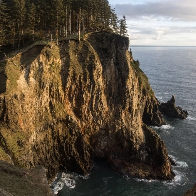 Tall cliffs are found at Oswald West State Park; Manzanita  Oregon  United States of America Poster Print (12 x 19)