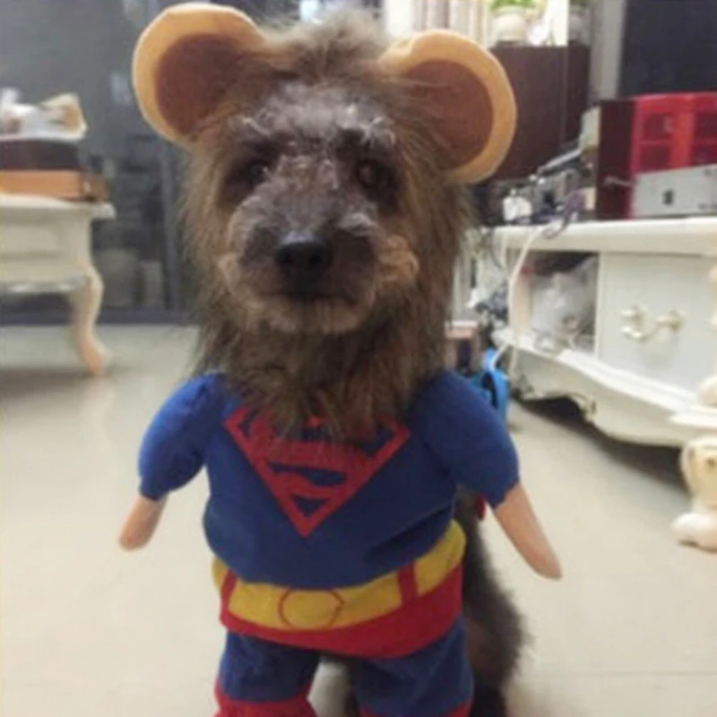 Happierpets Хэллоуин Горячая Забавный Pet Hat костюм Лев Мане Cat парик небольшой Товары