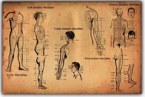 

Human Acupuncture Points Art Wall Decor Silk Print Poster