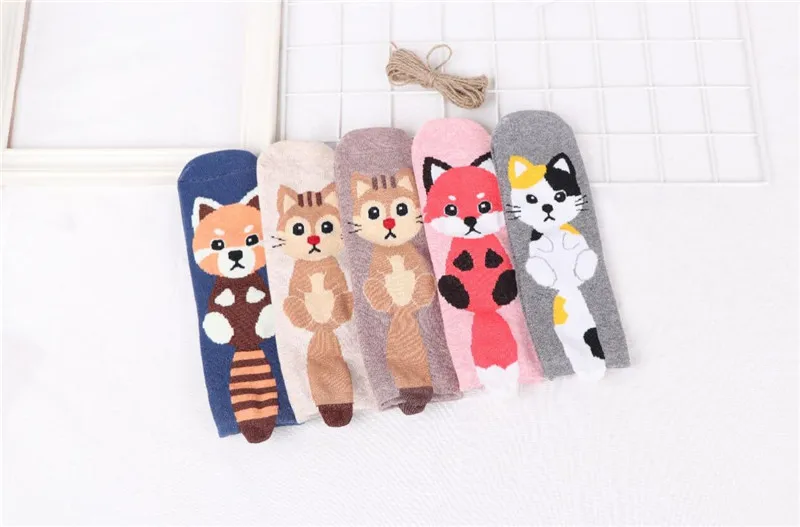 MYORED 5pairs woman short socks women's cotton cartoon animal for woman casual dress gift socks Calcetines de dibujos animados