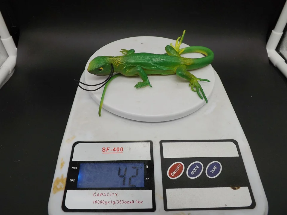 J171-Lizard (11)