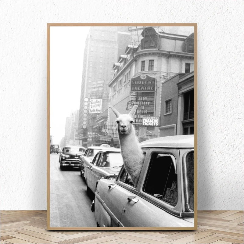 Vintage-llama-Print-Poster-New-York-Photo-Picture-Llama-in-a-taxi-on-Times-Square-Canvas