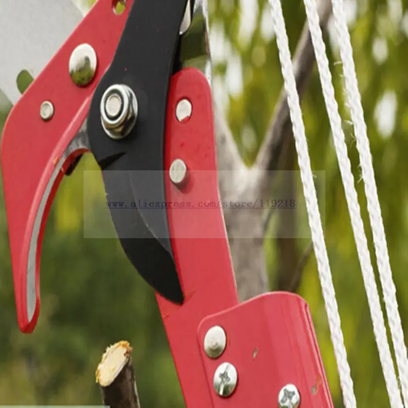 High-altitudecut-a0396