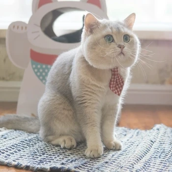 

Fresh and lovely pet cat and dog collar bow tie tie decorated with silent bells