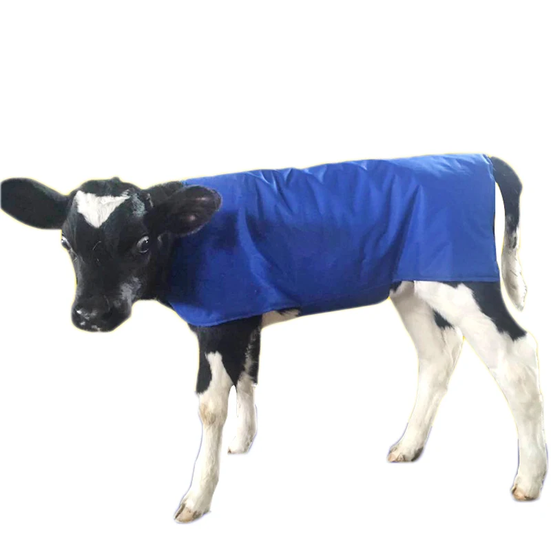 Mucca pelle di Vitello Abbigliamento a prova di Freddo di Qualità della maglia Panno di Cotone gilet gilet per il Bestiame Piccolo Cowl Bovini Caldo armatura Attrezzature Agricole