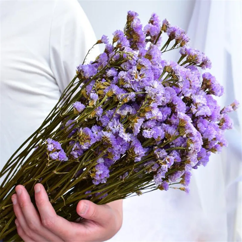 SMT035-LightPurple