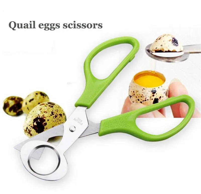 Buy Quail Scissors Egg Cutter Eggs Opener Quail Eggs Scissors Kitchen Gadget