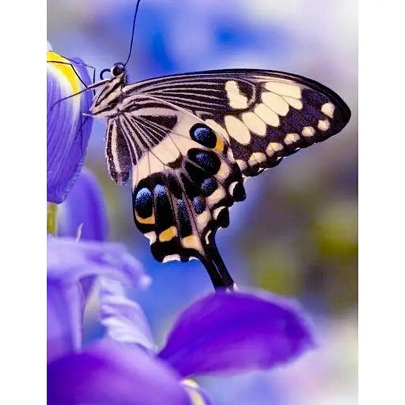 5D Diamond Embroidery Purple Flower Butterfly Diamond Painting Cross Stitch Animal Painting Series Full Square Mosaic Picture