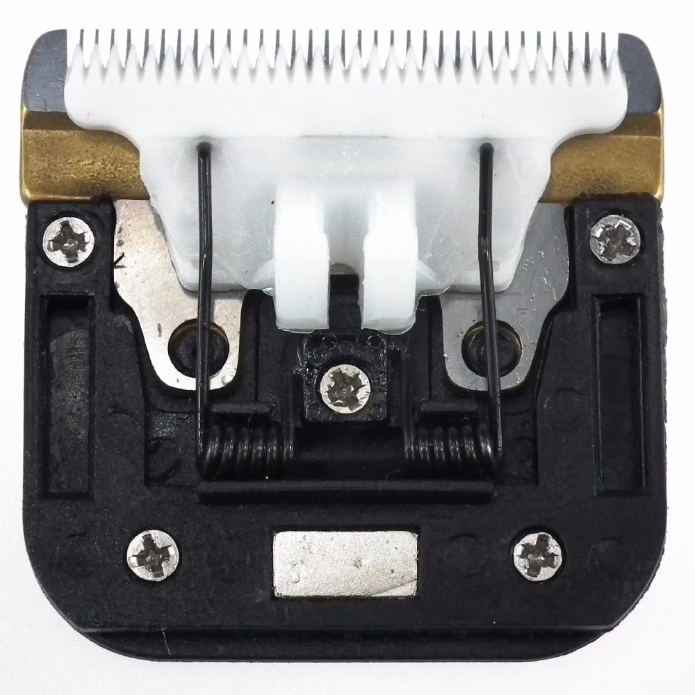 1785879053_1170619404