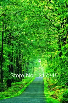 

Art Fabric Photography Backdrop jungle scene Custom Photo Prop backgrounds 5ftX7ft D-649