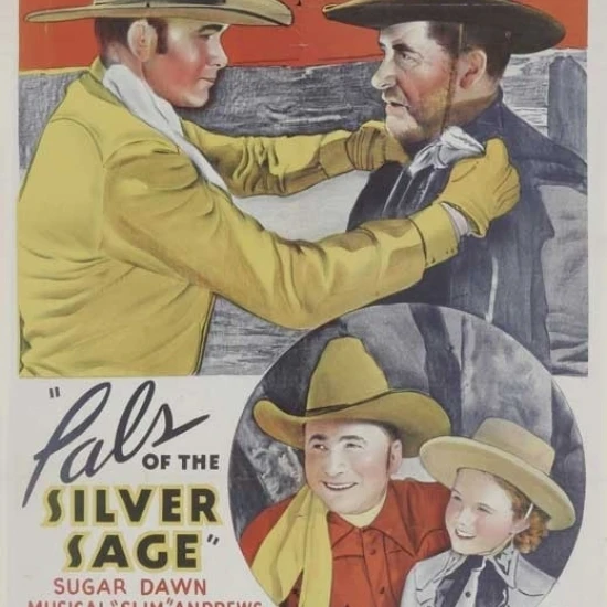 Pals of the Silver Sage Movie Poster (11 x 17)