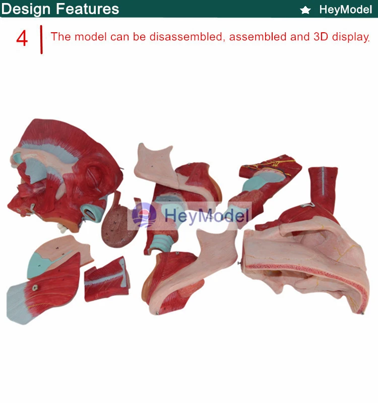 4 _