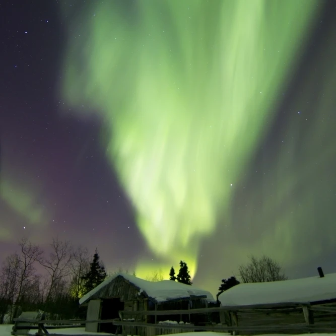 Aurora borealis and the Big Dipper above a log cabin at Whitehorse  Yukon  Canada Poster Print (11 x 17)